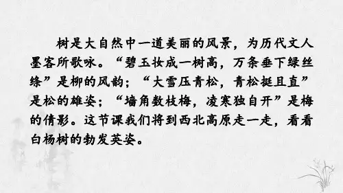人教版语文八年级上册 15 白杨礼赞第一课时