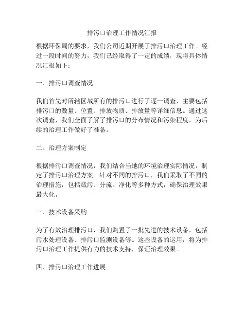 排污口治理工作情况汇报