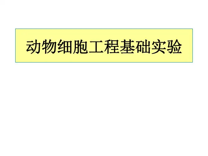 动物细胞工程基础实验