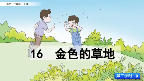 部编语文三年级上册16 金色的草地第二课时