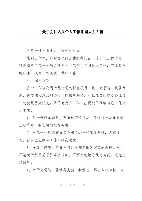 关于会计人员个人工作计划大全5篇