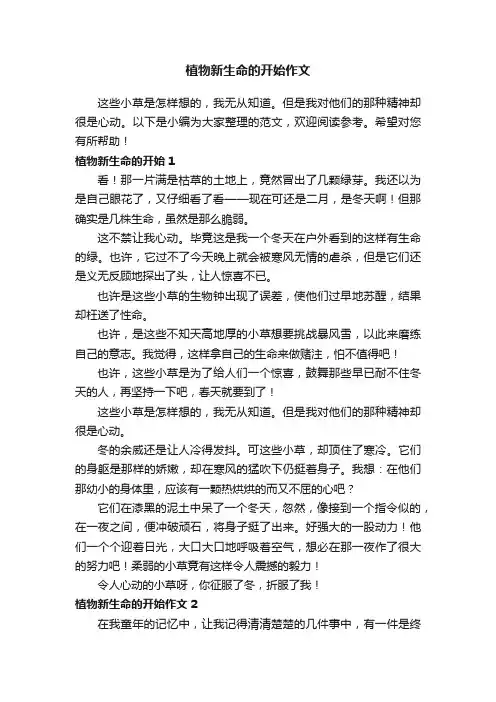 植物新生命的开始作文