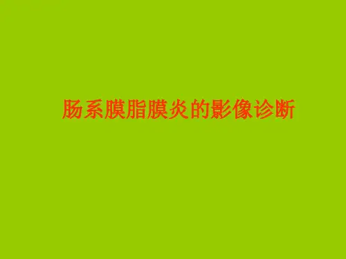 肠系膜病变影像诊断精品PPT课件
