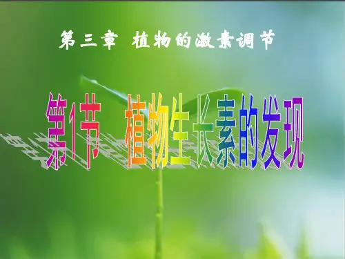 植物生长激素的调节(30张PPT)(完美版课件)