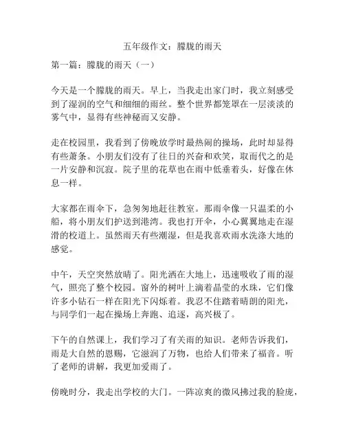 五年级作文：朦胧的雨天
