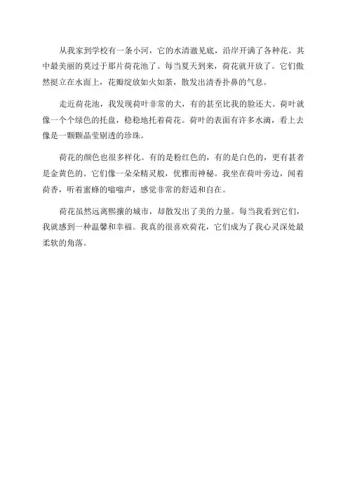 三年级下册第三课荷花课后小练笔