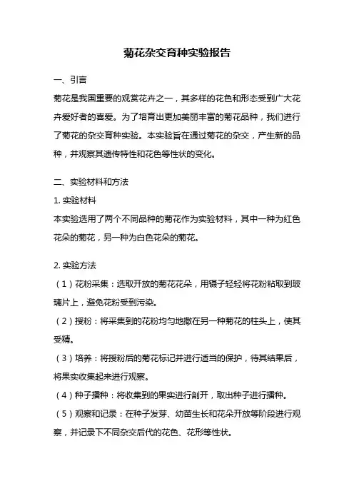 菊花杂交育种实验报告