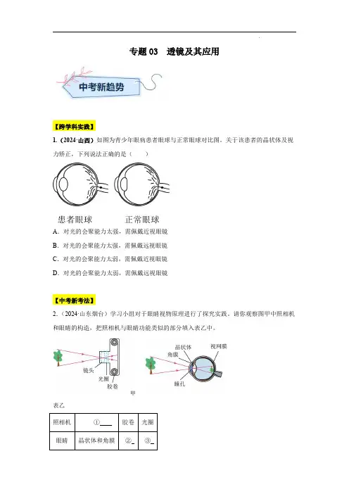 2024年中考物理真题分类汇编(全国通用)专题03  透镜及其应用(第01期)(原卷版)