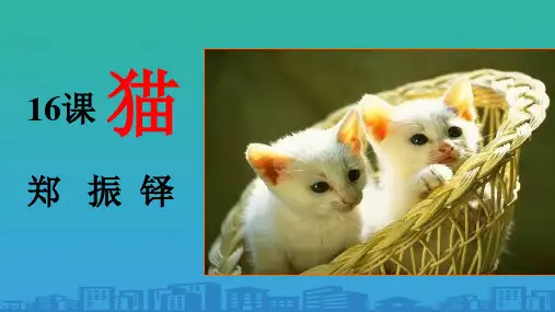 人教部编版七年级语文上册第16课《猫》课件(共44张PPT)
