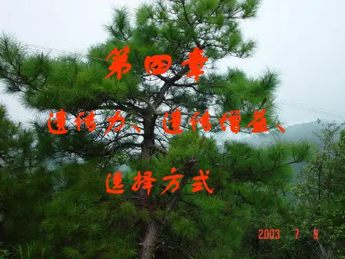 林木育种学——第四章遗传力、遗传增益