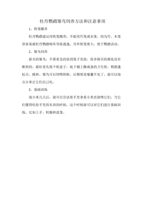 牡丹鹦鹉雏鸟饲养方法和注意事项