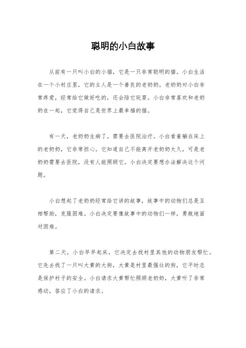 聪明的小白故事