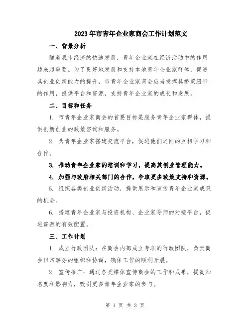 2023年市青年企业家商会工作计划范文