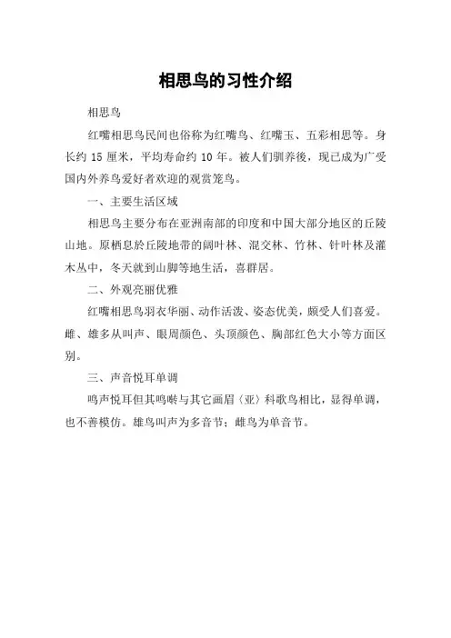 相思鸟的习性介绍