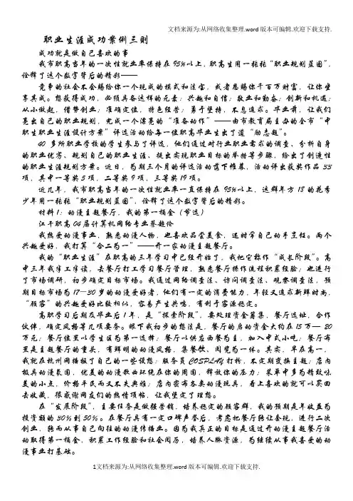 职业生涯成功案例三则