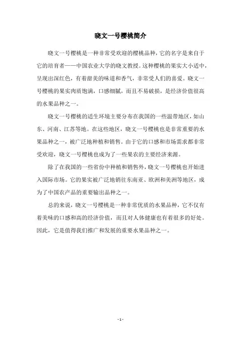 晓文一号樱桃简介