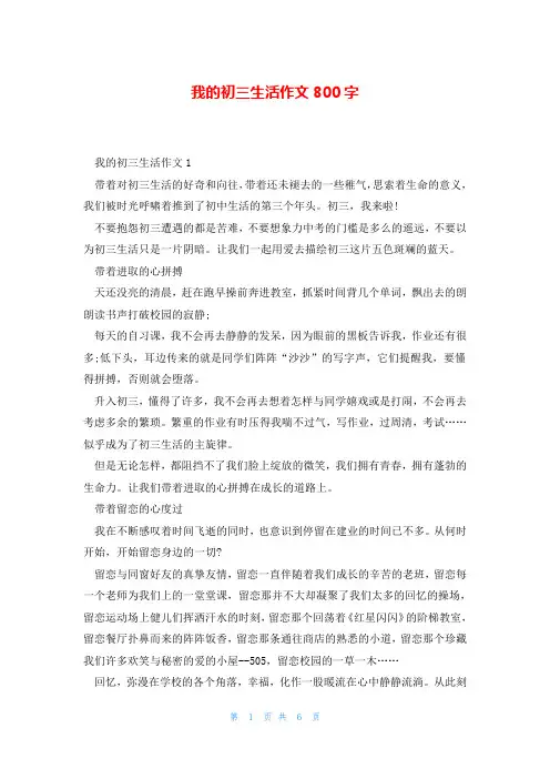 我的初三生活作文800字