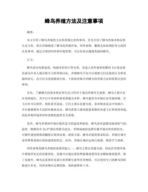蜂鸟养殖方法及注意事项