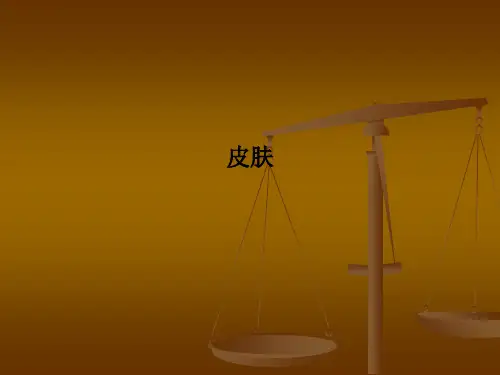 皮肤PPT课件
