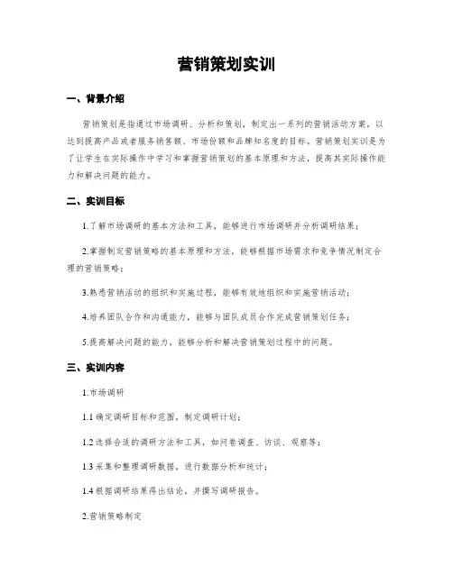 营销策划实训