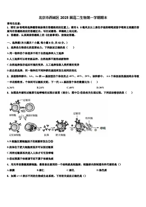 北京市西城区2025届高二生物第一学期期末含解析