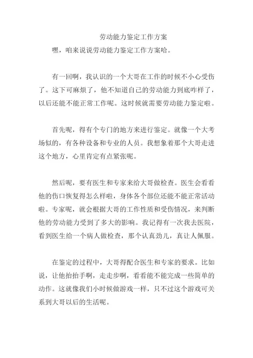 劳动能力鉴定工作方案