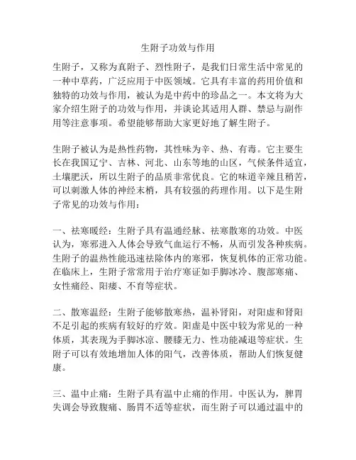生附子功效与作用