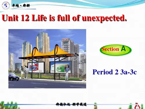 九年级Unit12_Life_is_full_of_the_unexpected._3a-3c教学课
