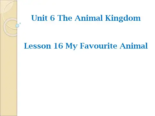 北师大 英语 七年级 下册 Unit 6 Lesson16 My Favourite Animal教学课件(共12张PPT)