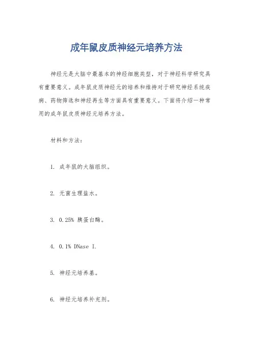 成年鼠皮质神经元培养方法