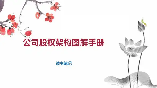 公司股权架构图解手册