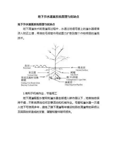 地下节水灌溉系统原理与优缺点