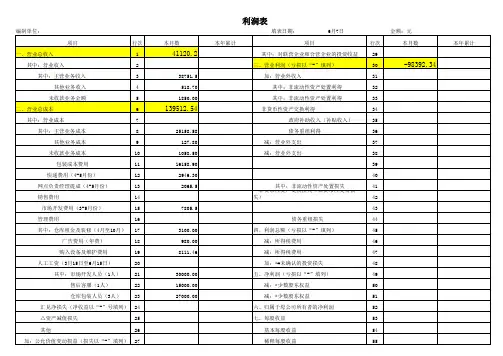 利润表标准模板(2012最新版)