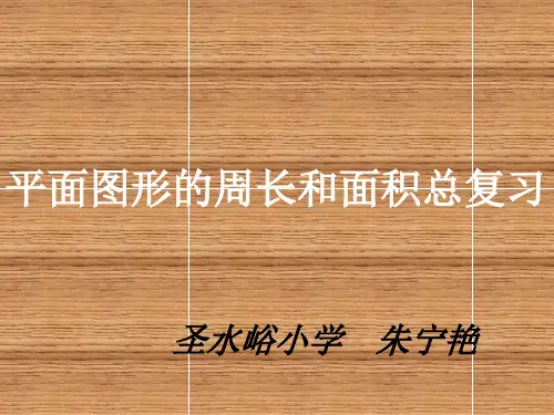 平面图形的周长和面积复习精品PPT课件