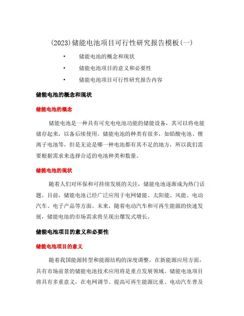 (2023)储能电池项目可行性研究报告模板(一)