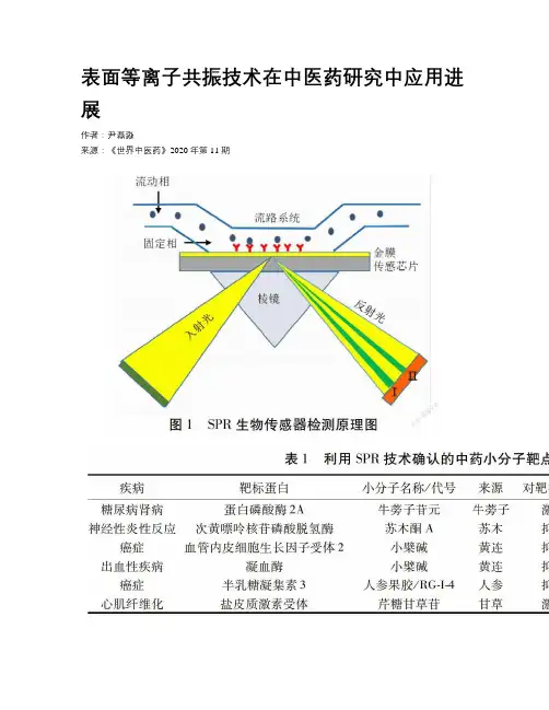 表面等离子共振技术在中医药研究中应用进展
