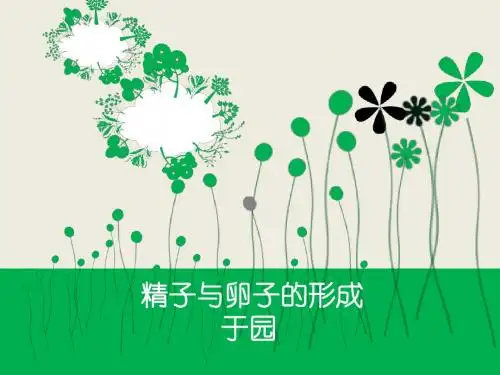 人教版教学课件精子与卵细胞的形成