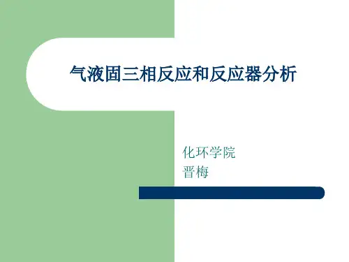 气液固三相反应-文档资料
