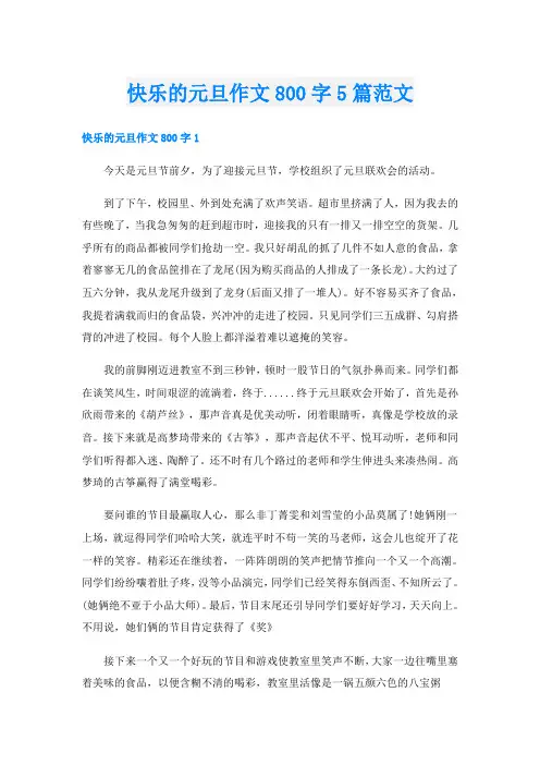 快乐的元旦作文800字5篇范文