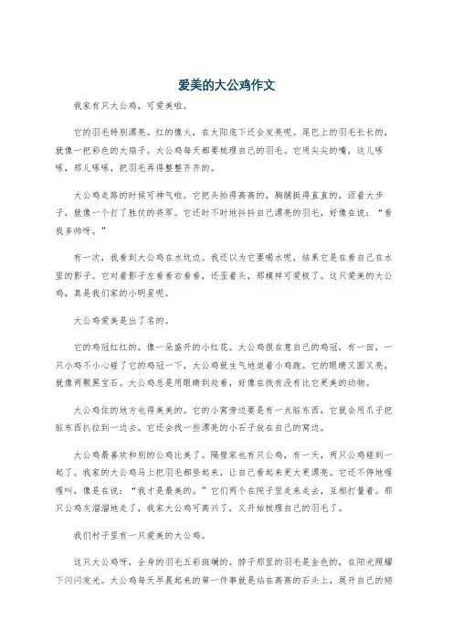 爱美的大公鸡作文