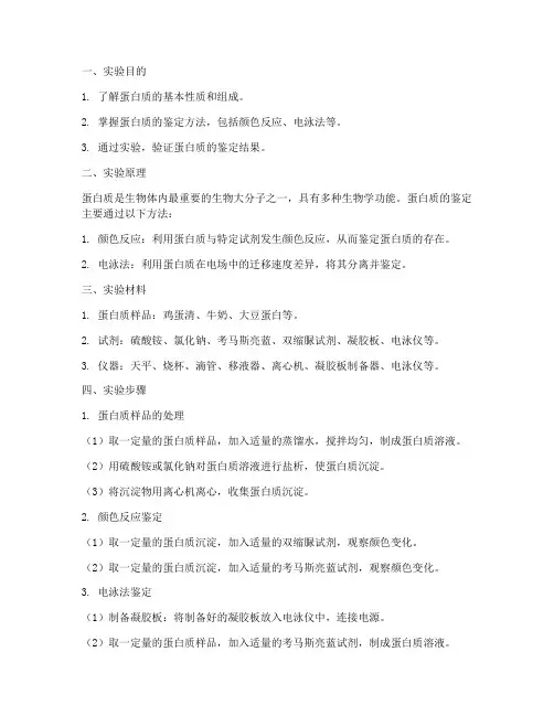 蛋白质的鉴定实验报告