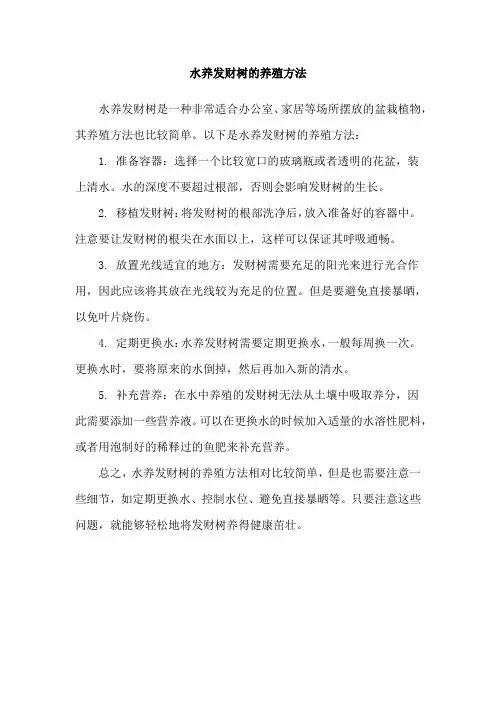 水养发财树的养殖方法