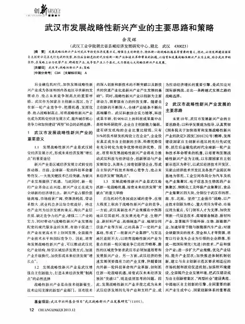武汉市发展战略性新兴产业的主要思路和策略
