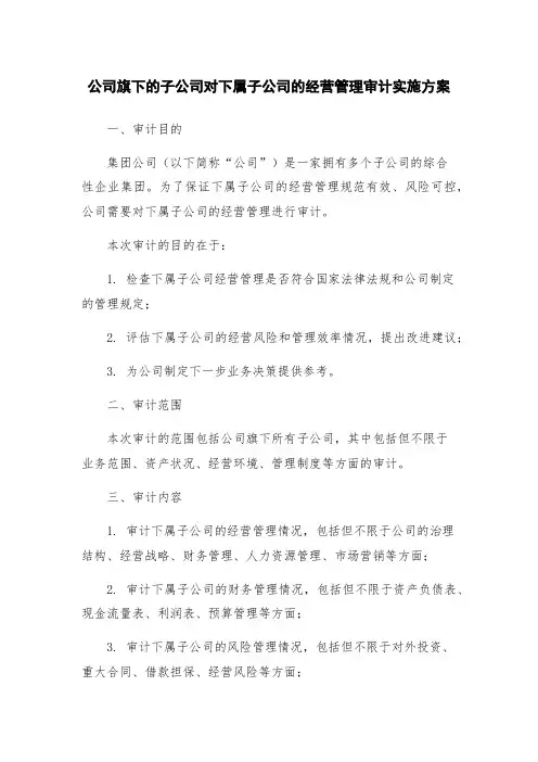 公司旗下的子公司对下属子公司的经营管理审计实施方案