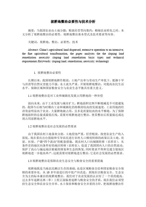 坡耕地整治必要性与技术分析