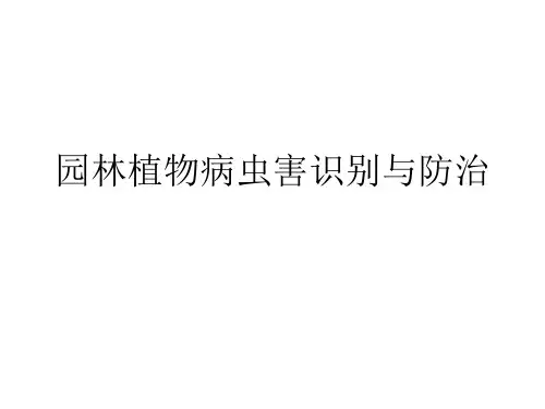 园林植物病虫害识别与防治