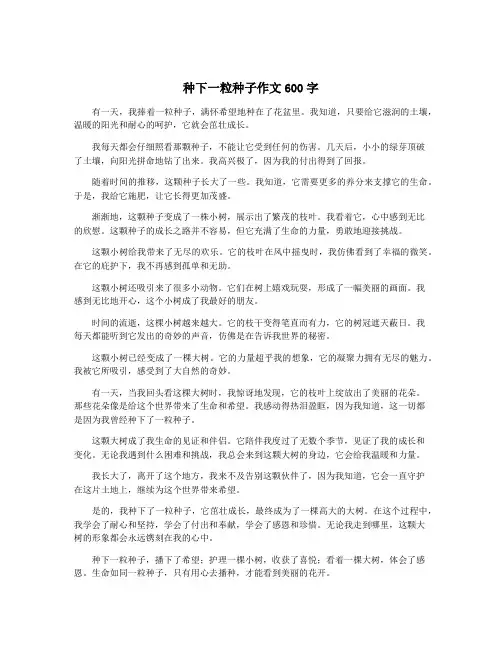 种下一粒种子作文600字