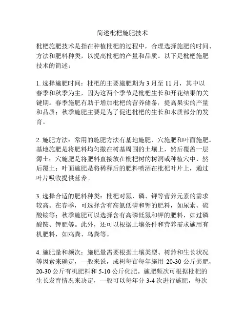 简述枇杷施肥技术