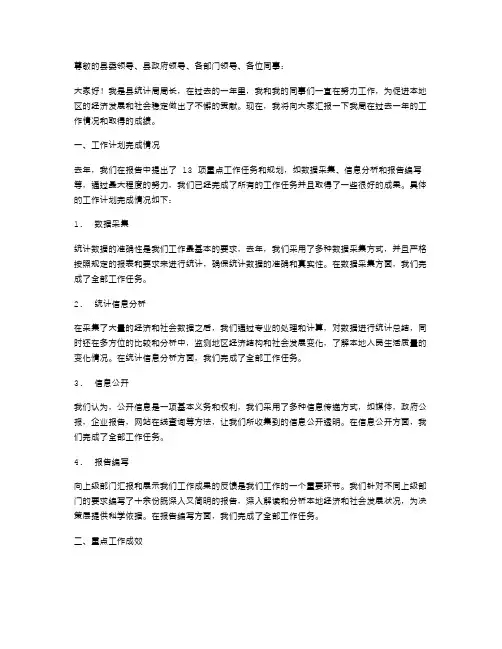 县统计局年度述职报告