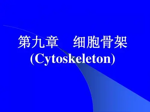 第九章__细胞骨架